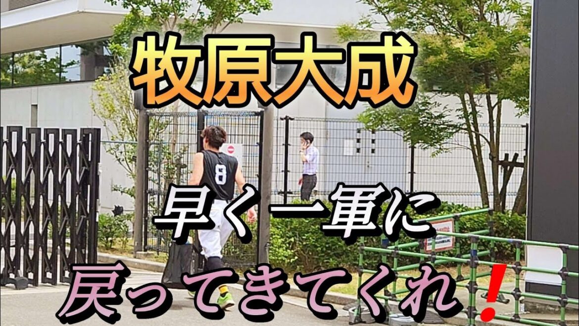 マッキー順調😀早く一軍に戻ってきてくれ🥎#sbhawks