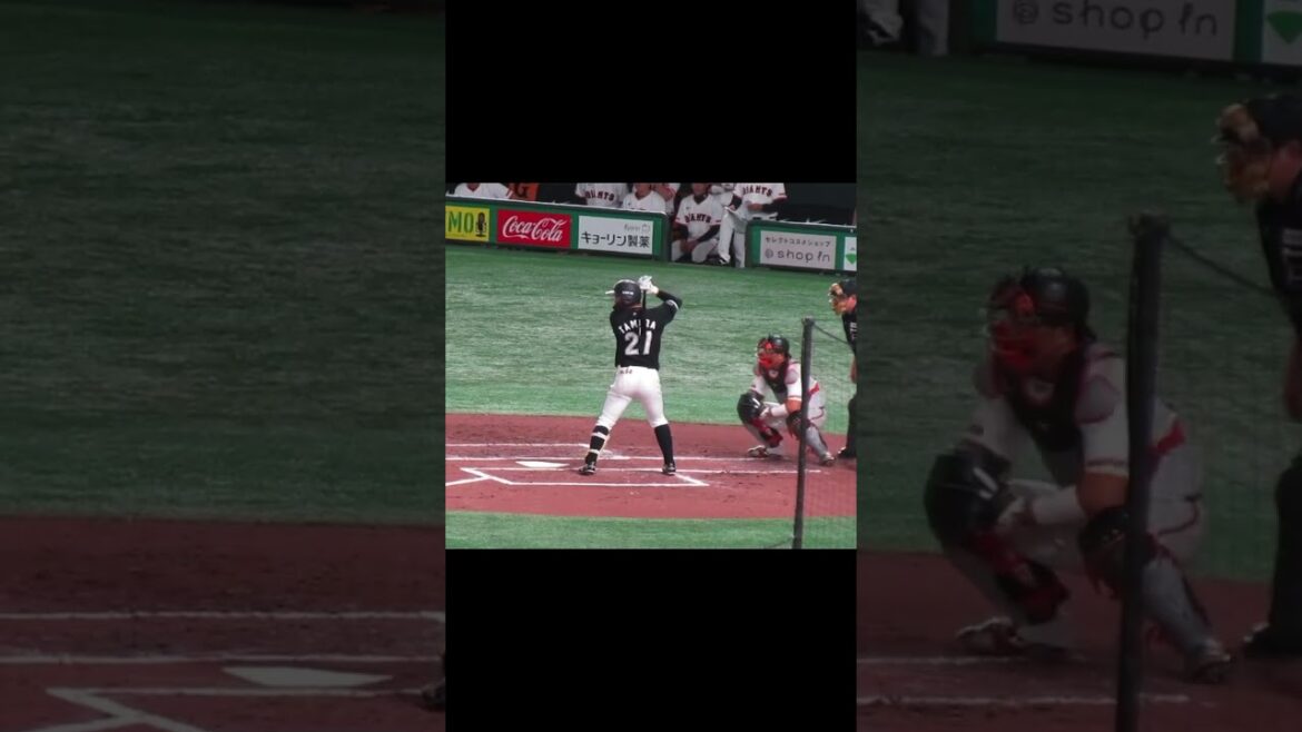 【マリーンズ】田村龍弘のバッティングフォーム　2024年3月19日 読売ジャイアンツ対 千葉ロッテマリーンズ