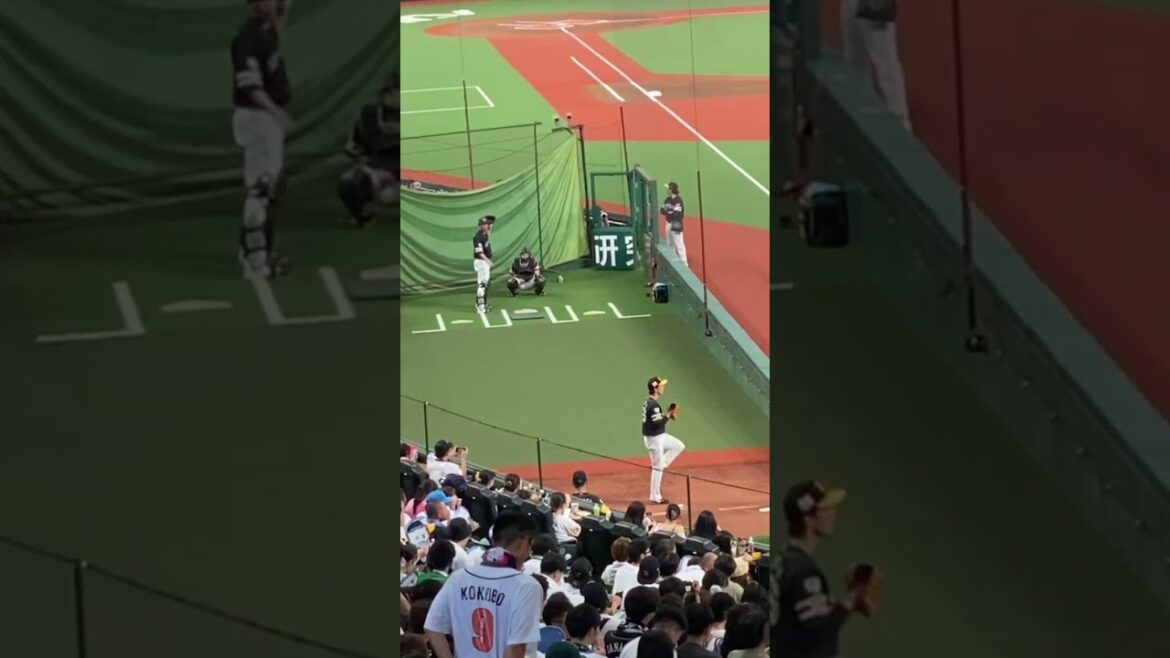 ソフトバンク大津投手のブルペン投球練習（左打者ストレート）