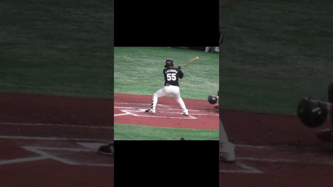 【マリーンズ】柿沼友哉バッティングフォーム　2024年3月19日 読売ジャイアンツ対 千葉ロッテマリーンズ