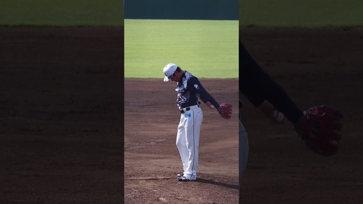 2024.07.07 埼玉西武-読売(カーミニーク) 増田達至 投球シーン #seibulions #プロ野球