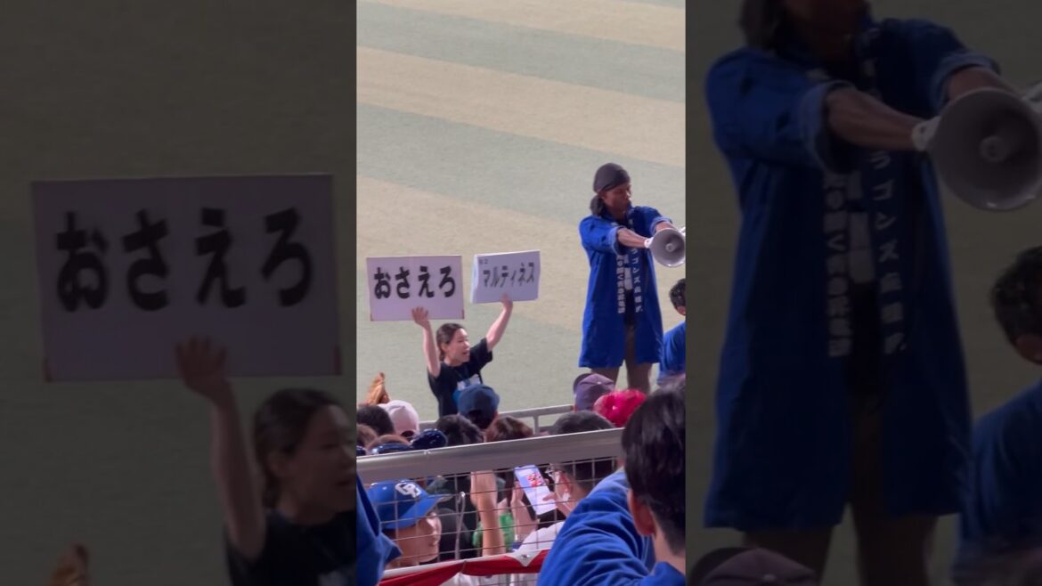 おさえろ🚨マルティネス🚨 🌈ナゴヤドーム2024.6.30 DeNA戦3-0勝ち🥰田中2点先制点・カリステ追加点・松葉定時🌈 ライトドラゴンズ応援