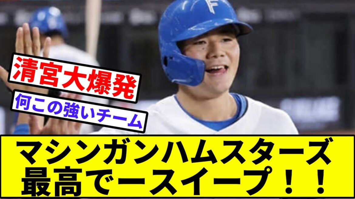 【マリンガン対ハムンガン】マシンガンハムスターズ、最高でースイープ【なんJ反応】【プロ野球反応集】【2chスレ】【1分動画】【5chスレ】【日本ハム】【ロッテ】【パリーグ】【清宮】