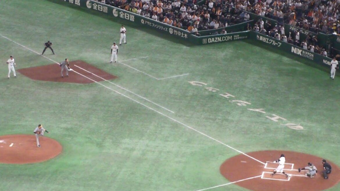 巨人 長野久義 タイムリーヒット　巨人 vs 阪神　2024年5月3日(金)