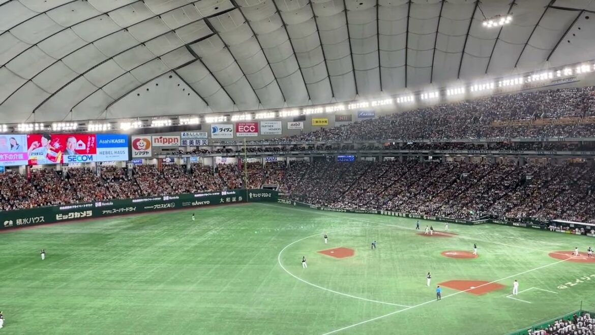 2024 読売ジャイアンツ 立岡宗一郎 応援歌