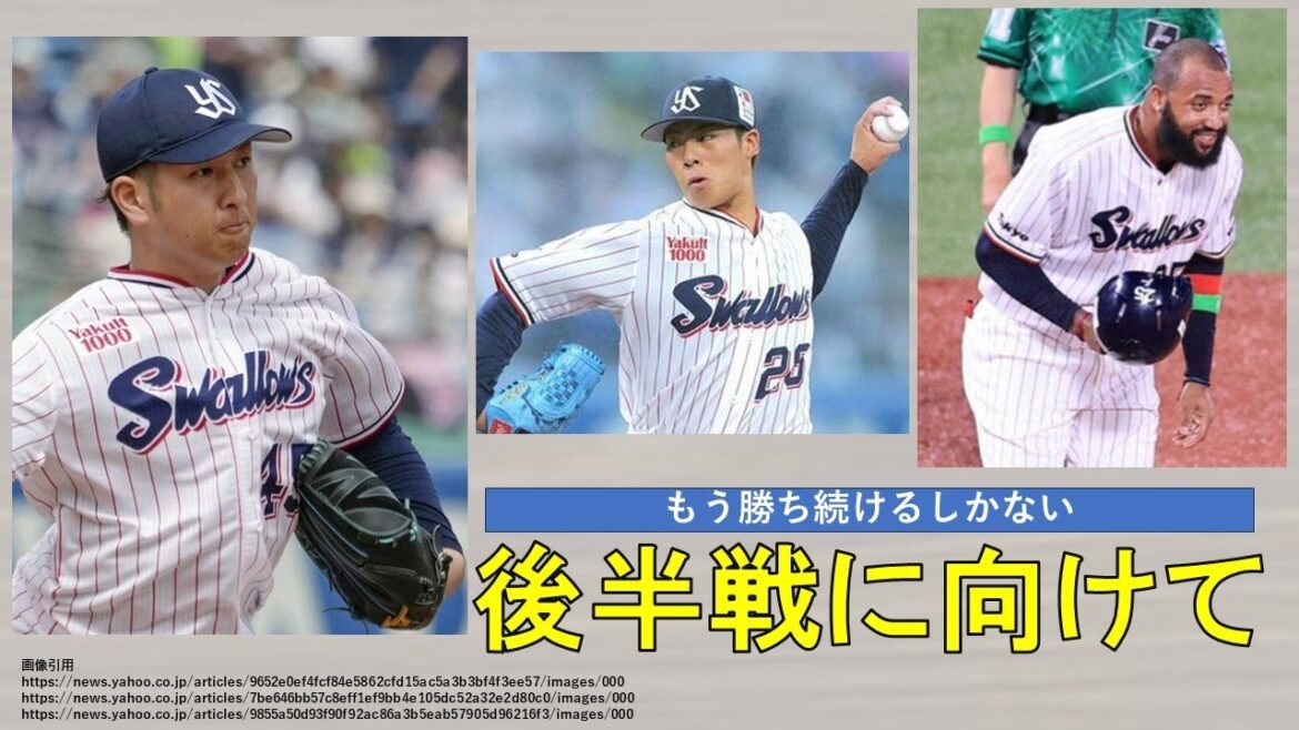 【後半戦に向けて】もう勝ち続けるしかない！当chが注目する当面の戦いのポイントは？【先陣山野頼む】2024年7月25日