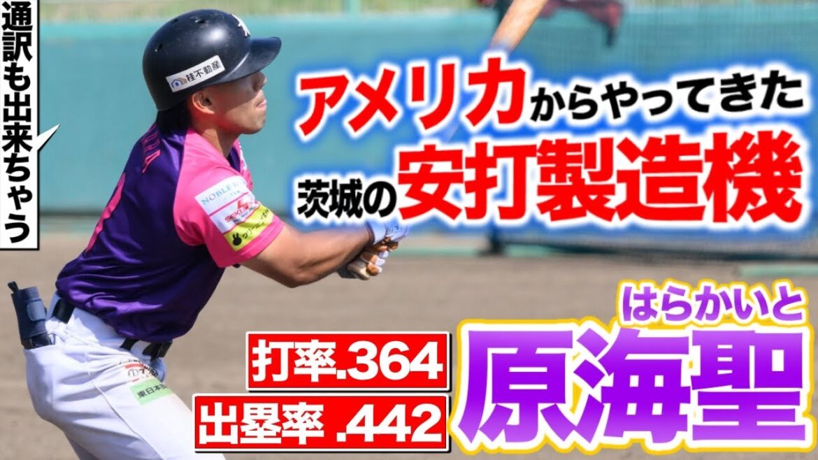 【原海聖】アメリカからやってきた安打製造機が大活躍中！【通訳も出来ちゃう】