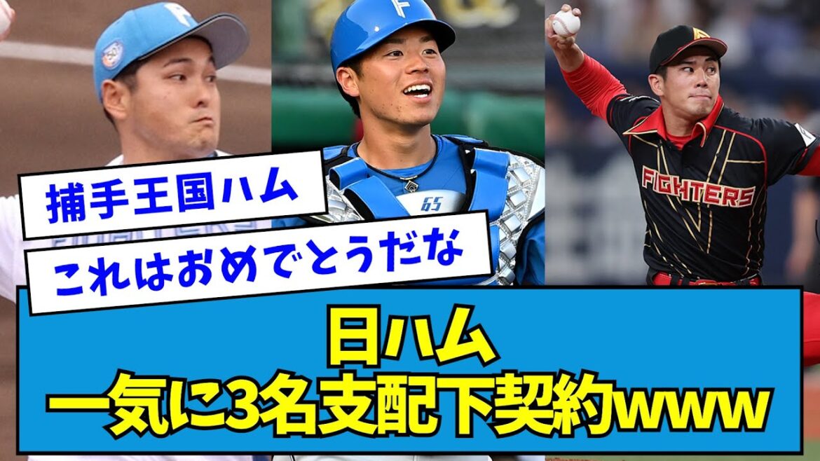 【正式発表】日ハム一気に3名支配下契約wwwww【鍵谷陽平 宮内春輝 梅林優貴】【なんJ反応】