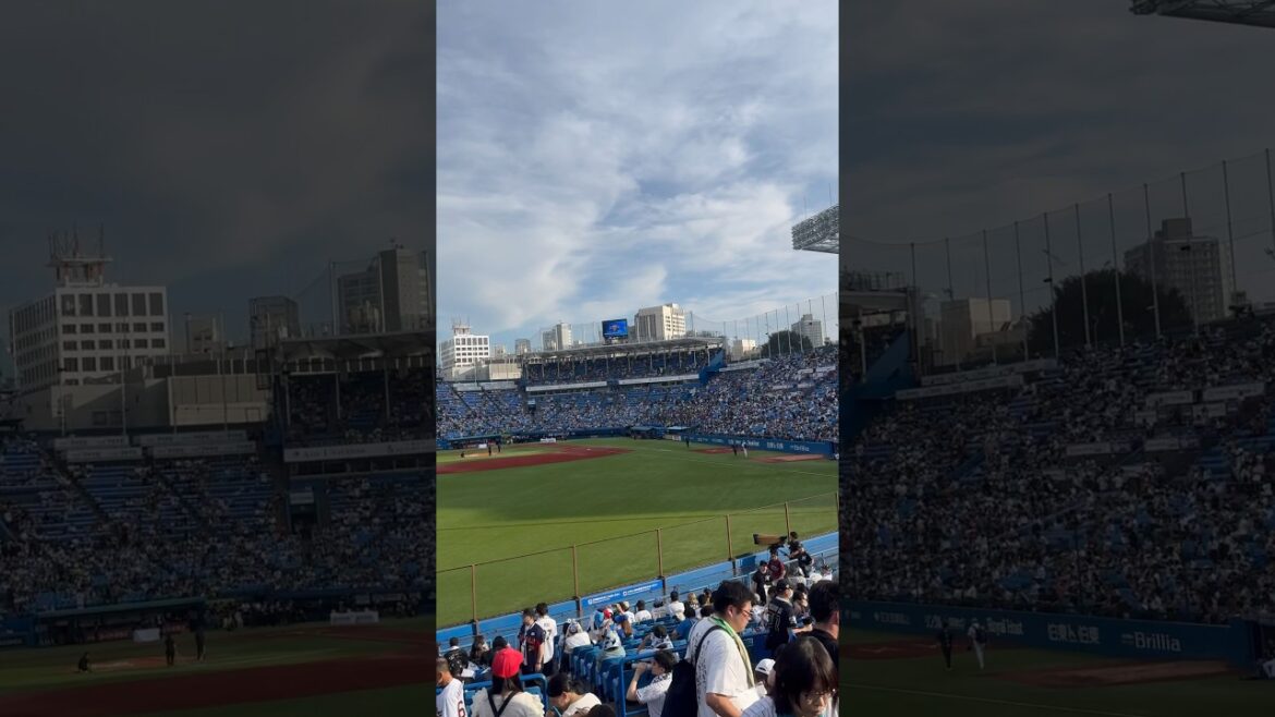 オールスター第2戦目は明治神宮球場で開催!!