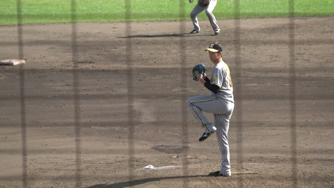 阪神タイガース 湯浅京己投手 投球練習 2024/3/27 ちゅーるスタジアム