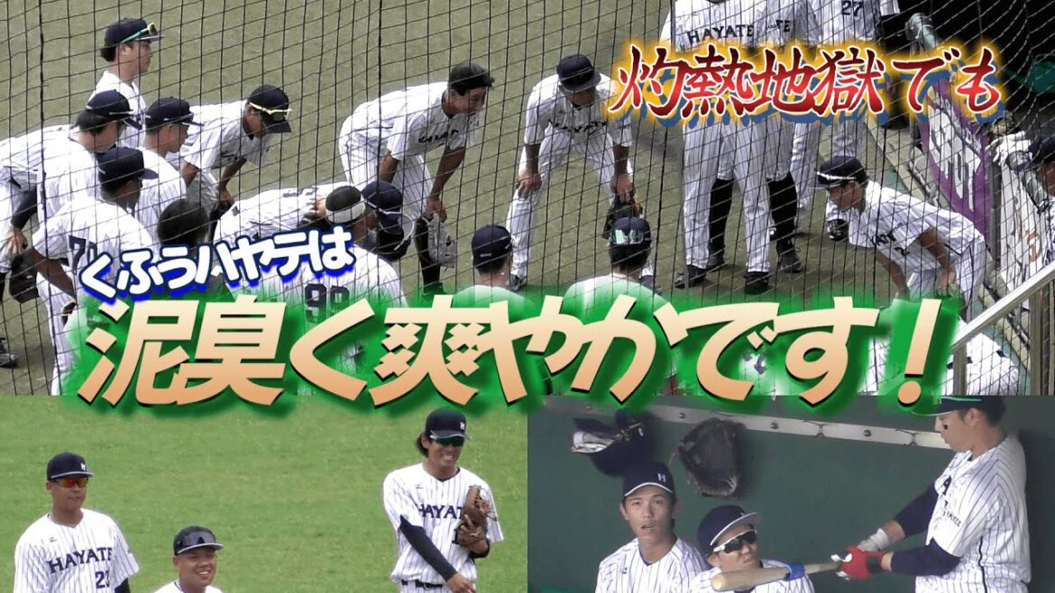 【2024/7/17 ちゅ~るスタジアム清水】夏場のデーゲーム観戦は命がけ?ハヤテの選手たちは元気に見えるけど辛くないわけがない!! 【2024/7/17 ちゅ~るスタジアム清水】夏場のデーゲーム観戦は命がけ?ハヤテの選手たちは元気に見えるけど辛くないわけがない!!