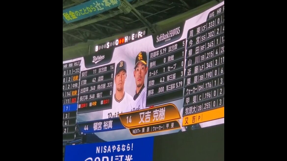 20240419　前年から新しくなった、ﾎｰｸｽﾋﾞｼﾞｮﾝの選手と成績表示　#shorts　#又吉克樹　#頓宮裕真@みずほPayPayﾄﾞｰﾑ福岡･外野ﾗｲﾄ