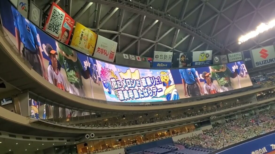 20240629　1回表　試合開始！大野雄大が登板　横浜DeNAﾍﾞｲｽﾀｰｽﾞは攻撃開始@ﾊﾞﾝﾃﾘﾝﾄﾞｰﾑ ﾅｺﾞﾔ･ﾚﾌﾄ外野 ﾅｺﾞﾔﾄﾞｰﾑ