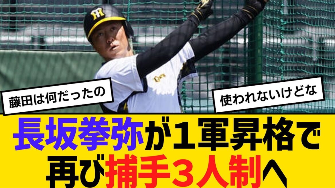 阪神・長坂拳弥が１軍昇格で再び捕手３人制へ　【ネットの反応】【反応集】