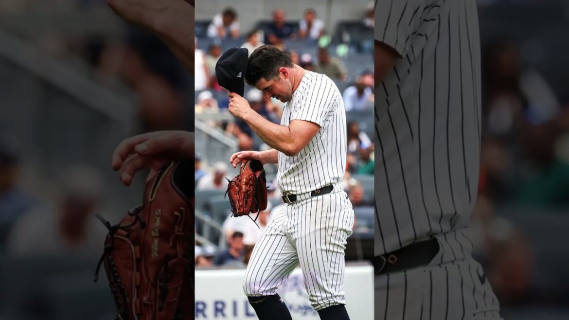 TAMPA BAY RAYS 1-9 NEW YORK YANKEES – MLB – Soto y Rodón guiaron TRIUNFO de Yankees TAMPA BAY RAYS 1-9 NEW YORK YANKEES - MLB - Soto y Rodón guiaron TRIUNFO de Yankees