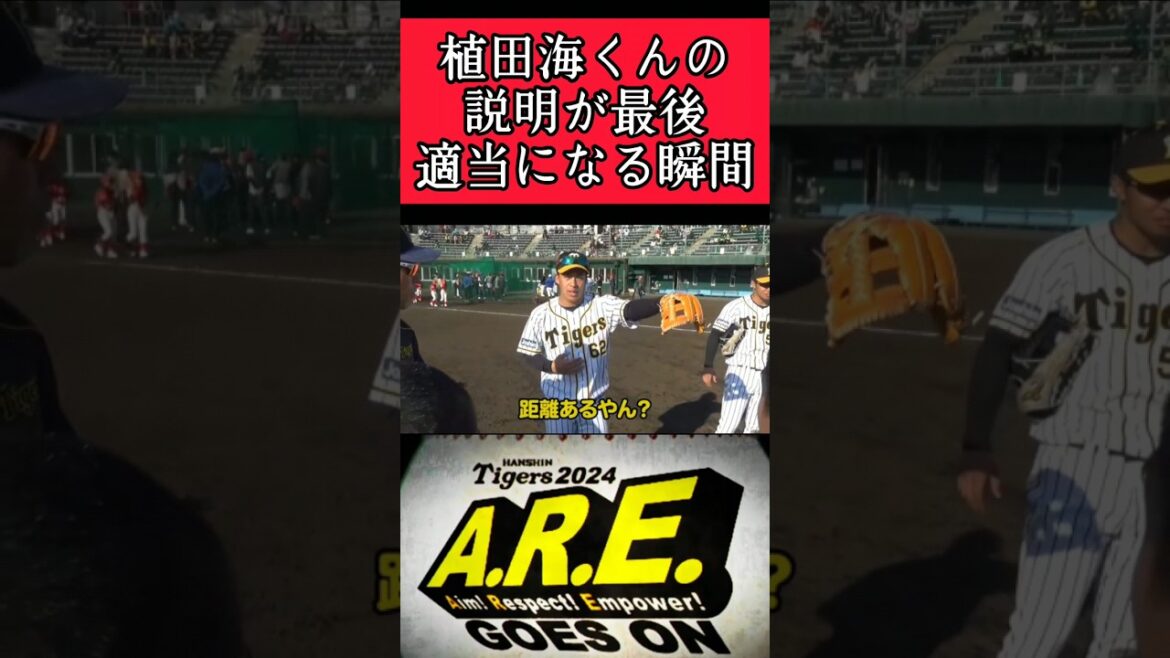 【阪神】"植田海"適当になる瞬間！ #阪神 #阪神タイガース #植田海 #shorts