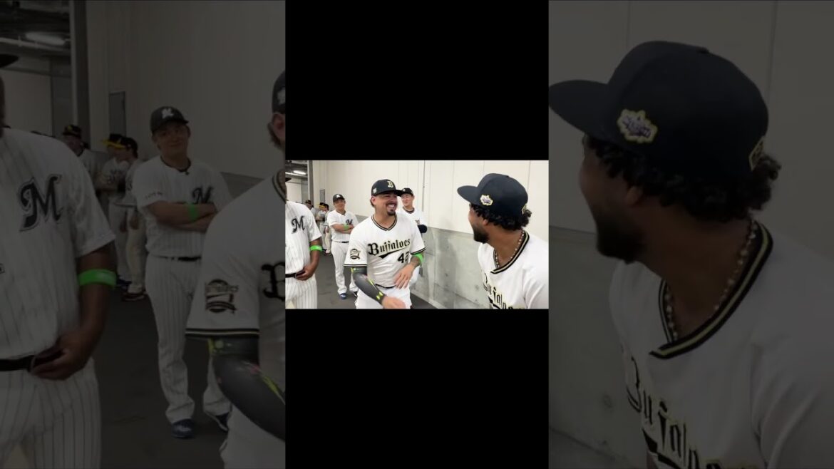 日本語でトーク✨️ #大爆笑 #オリックス #千葉ロッテ #オールスター