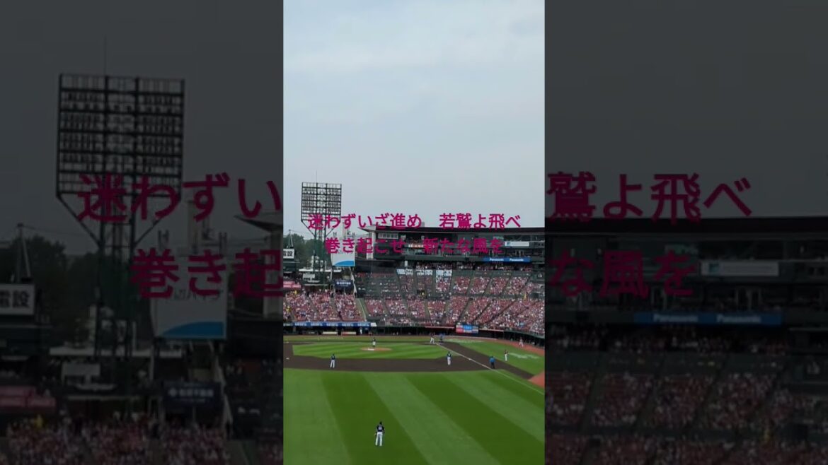 東北楽天ゴールデンイーグルス　汎用テーマ2(若手汎用)