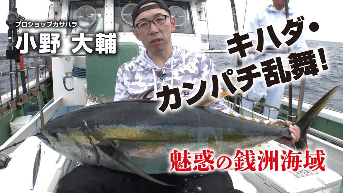 キハダ・カンパチ乱舞! 魅惑の銭洲海域 キハダ・カンパチ乱舞! 魅惑の銭洲海域