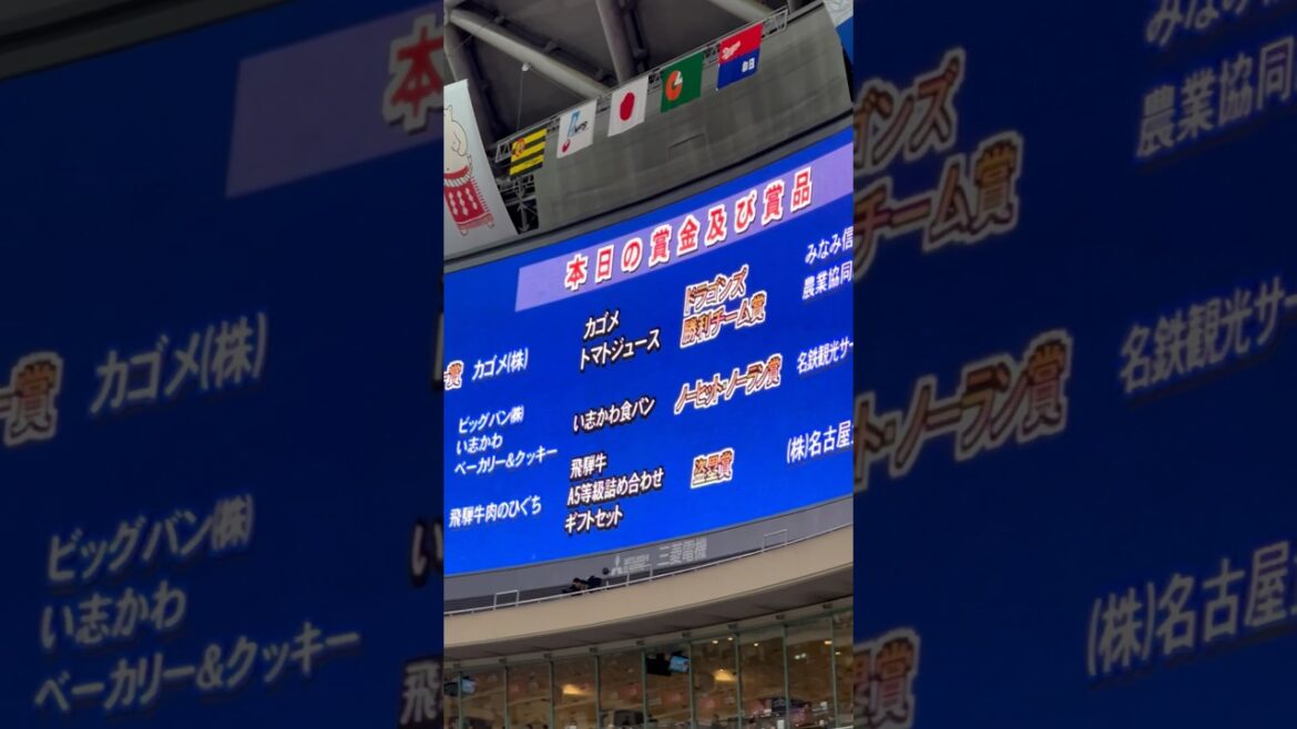 【賞金💰&賞品🎁】選手達が活躍すると🎉もらえる物💫グランドには夢がある🎖️ 💫2024.7.14阪神戦 延長10回2-6負け💦ナゴヤドーム📣サンデー松葉　#松葉 #阪神 #中日