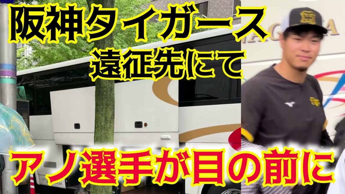 【名古屋】 #阪神タイガース 遠征先にてアノ選手が揃い踏み  24.7.12.