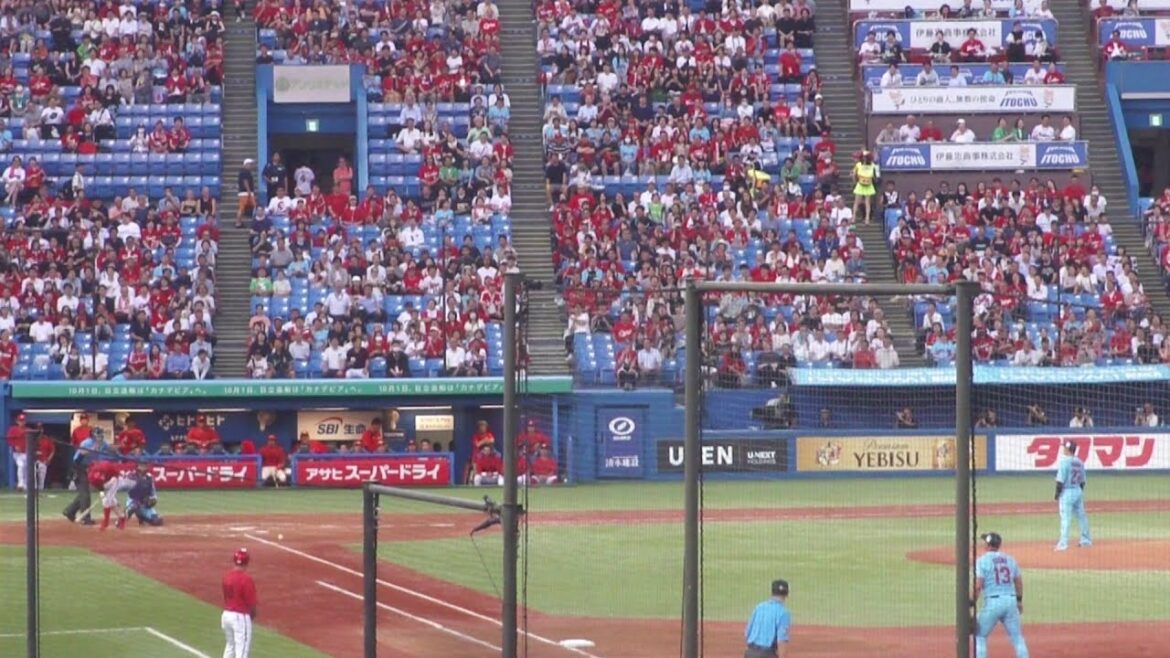 広島 小園海斗 デッドボール　ヤクルト vs 広島　2024年7月26日(金) 神宮球場