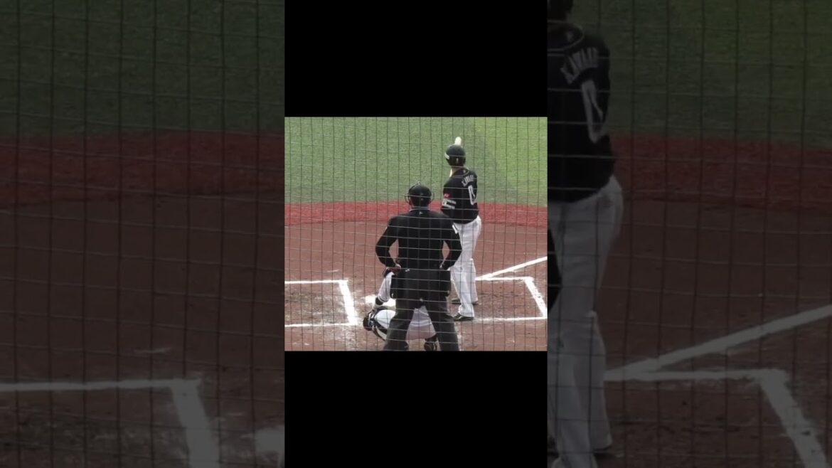 ホークス川瀬晃のバッティングフォーム千葉ロッテマリーンズ対ソフトバンクホークス2024年3月8日