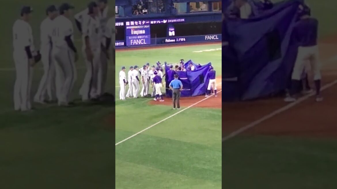 20240607、３回裏、上茶谷、ライトゴロも前転し、負傷退場！！
