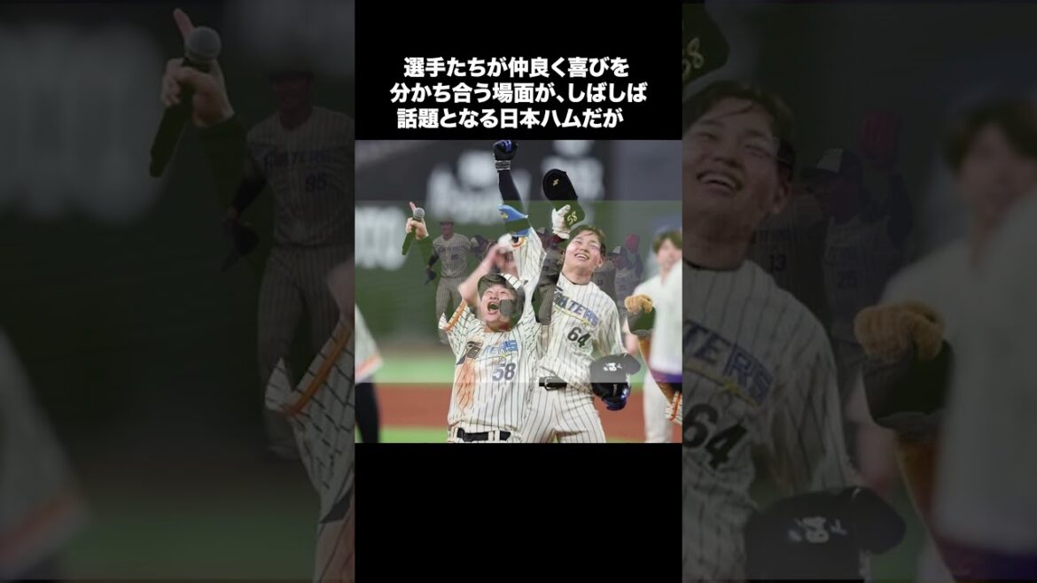 【仲良すぎww】日ハム ブルペン陣のほっこりシーンが話題に!!【日本ハム反応集】【ネットの反応】 #日本ハムファイターズ  #新庄監督 #宮西尚生 #shorts