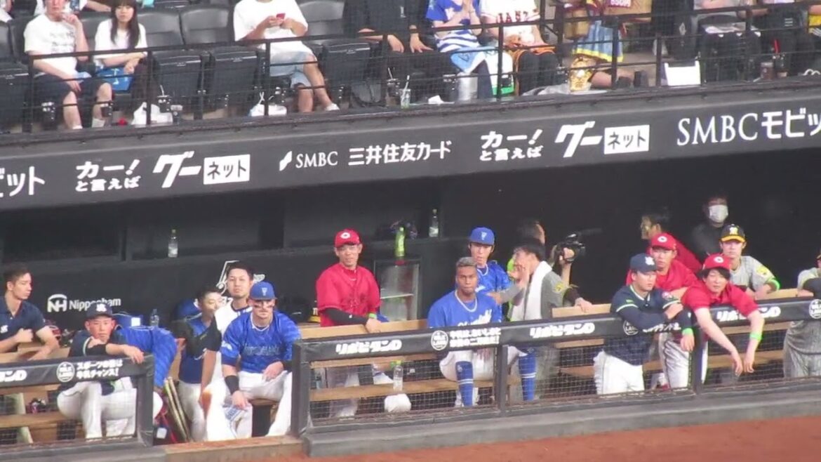 【セ・リーグベンチ】度会隆輝と才木浩人が楽しそう 2024年7月24日 マイナビオールスターゲーム エスコンフィールド