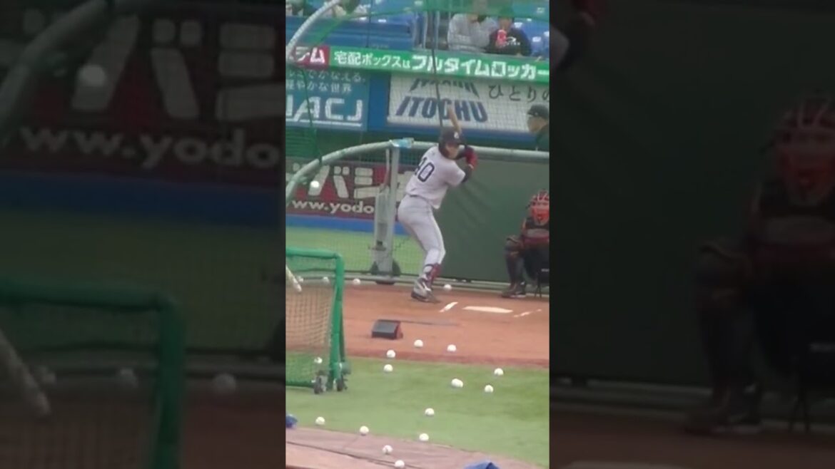 バッティング練習中の中山礼都（ヤクルトスワローズ対 読売ジャイアンツ2024年4月11日）