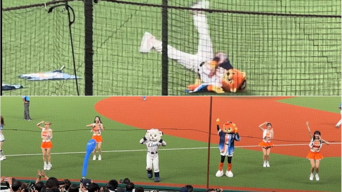 豪華揃い踏み！統一ライオンズ(台湾)との合同『吠えろライオンズ』【西武vs 日本ハム】2024/7/9