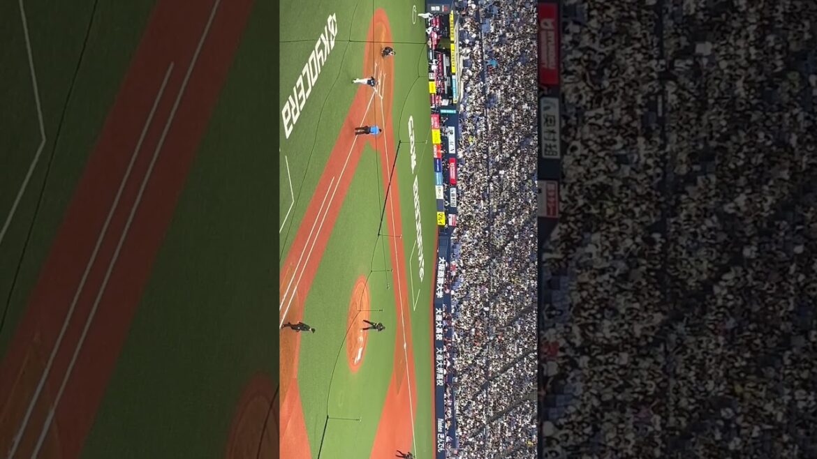 【山田修義投手】オリックスバファローズ ビジョン映像