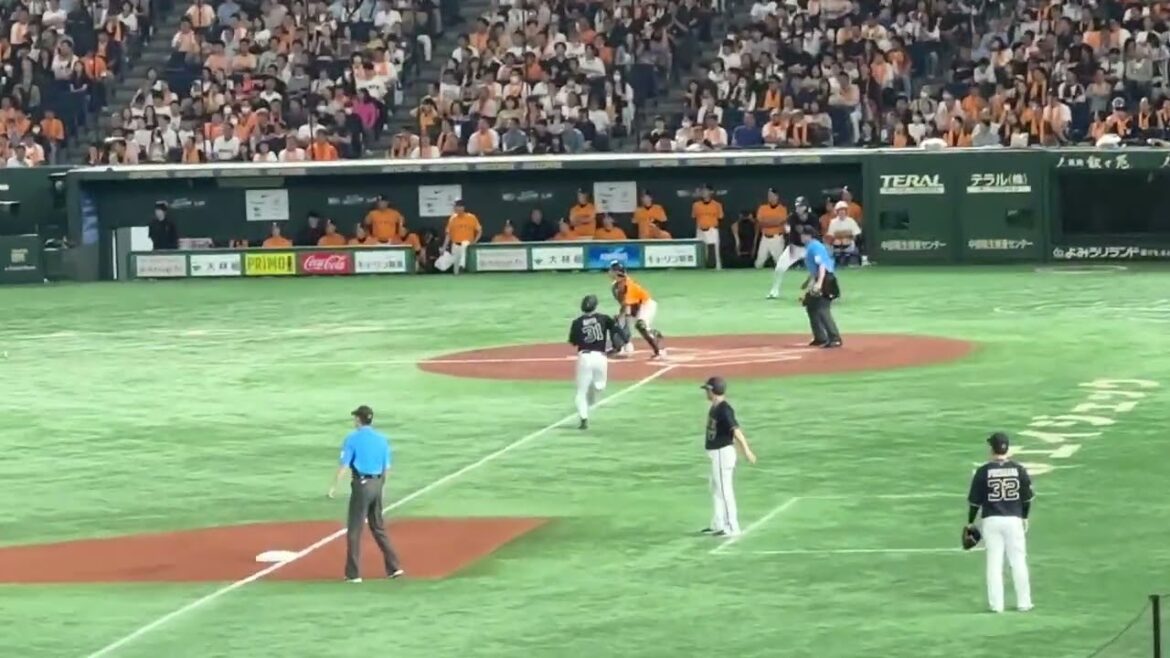 2024.6.9　西川龍馬選手　2打席連続タイムリー二塁打！　巨人ｖｓオリックス　東京ドーム