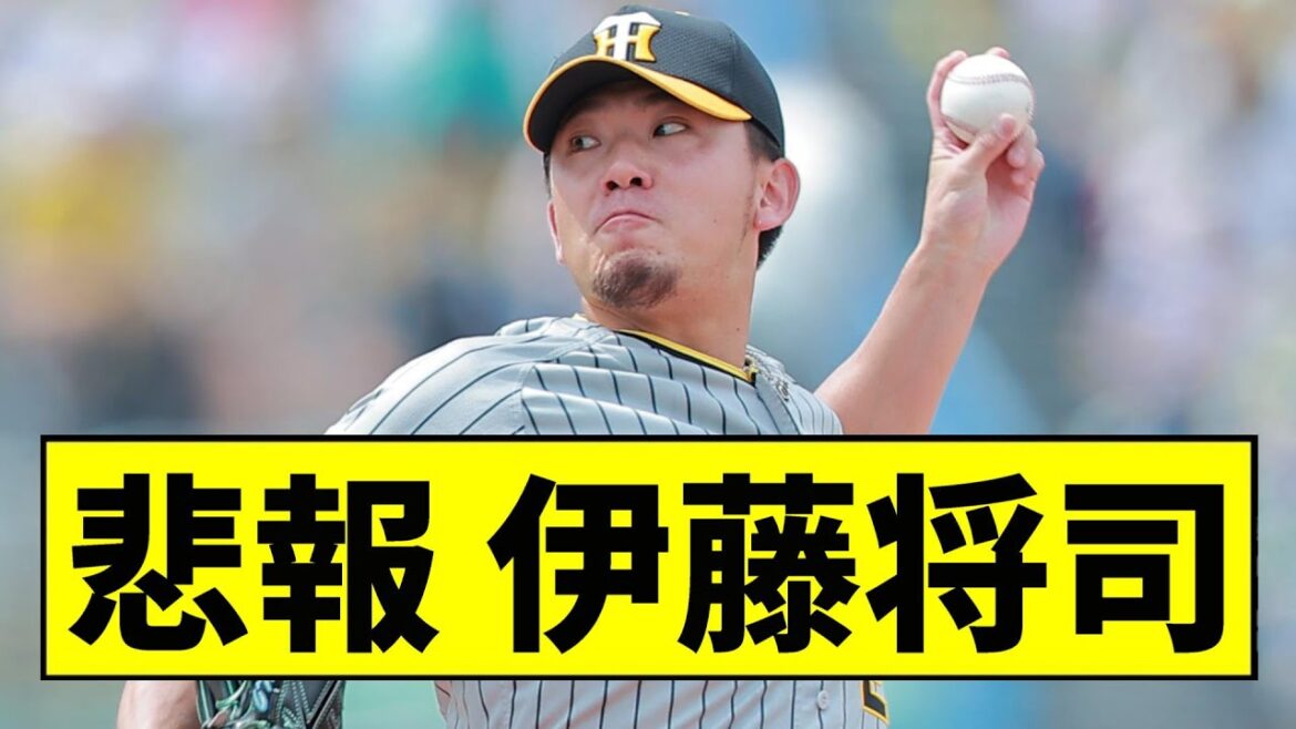 【阪神】伊藤将司、流石にヤバすぎる...【2chスレ】