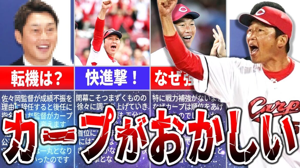 なぜ広島カープが首位？カープが強い理由を徹底解説