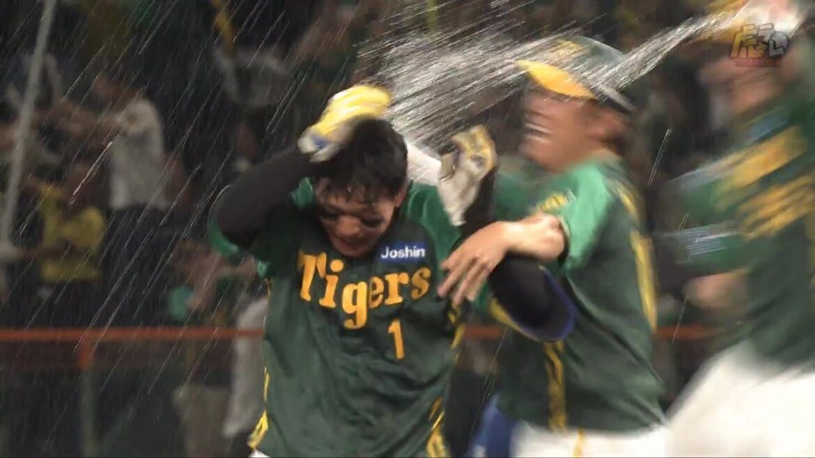 【3試合連続ヒーロー】11回裏、＃森下翔太 選手が一死2塁でレフト前にサヨナラヒット、タイガース4連勝！【2024/7/28Ｔ－Ｄ】