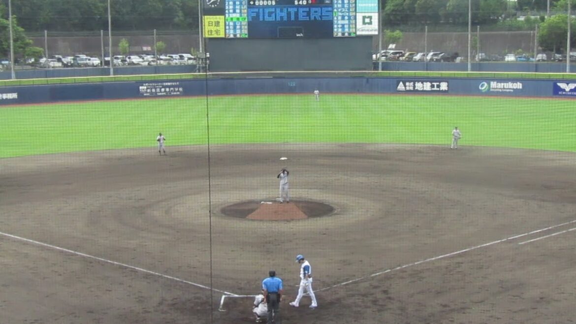 ジャイアンツ鈴木康平から四球選ぶファイターズ淺間大基＜日本ハムファイターズ対 読売ジャイアンツ2024年6月25日＞