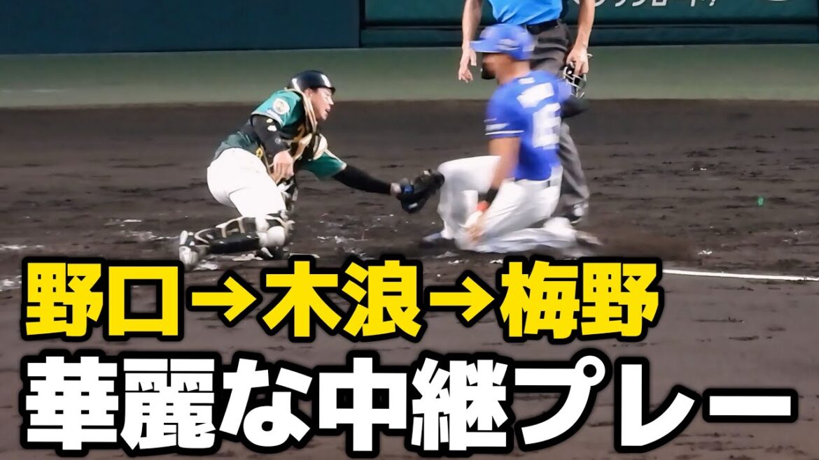 【華麗な連携】野口→木浪→梅野の流れるような中継プレーでホームを狙ったランナーをアウトに！2024.7.28