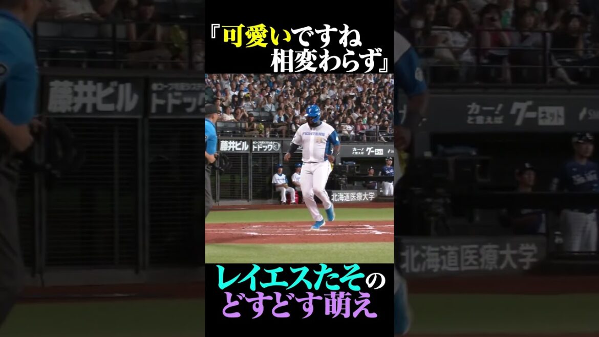 Pacific-League: 「可愛いですね〜相変わらず」#shorts 「可愛いですね〜相変わらず」#shorts