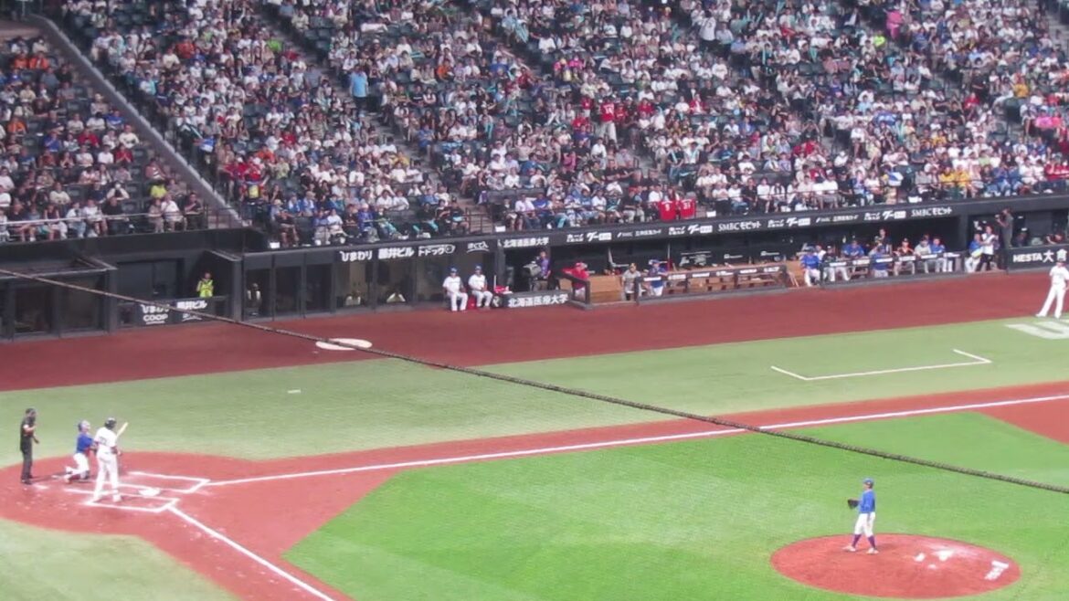 オールスター ポランコを抑える東克樹 2024年7月24日 マイナビオールスターゲーム エスコンフィールド