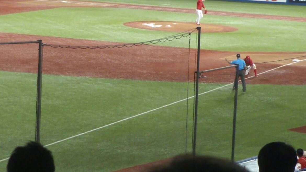 広島 小園海斗 ナイスプレー　ヤクルト vs 広島　2024年7月28日(日) 神宮球場