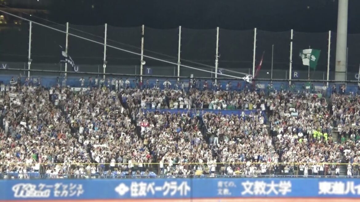 【岡大海選手 → LOTTEコール】千葉ロッテマリーンズ 応援歌|マイナビオールスターゲーム 2024 【岡大海選手 → LOTTEコール】千葉ロッテマリーンズ 応援歌|マイナビオールスターゲーム 2024