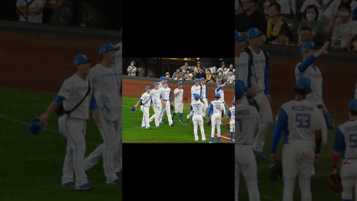【20240728】やまーんの空中歩行　ブルペン陣9人が肩組んで走ってくる #山本拓実 #宮西尚生 #生田目翼 #河野竜生 #マーフィー #齋藤友貴哉 #池田隆英 #柳川大晟 #田中正義