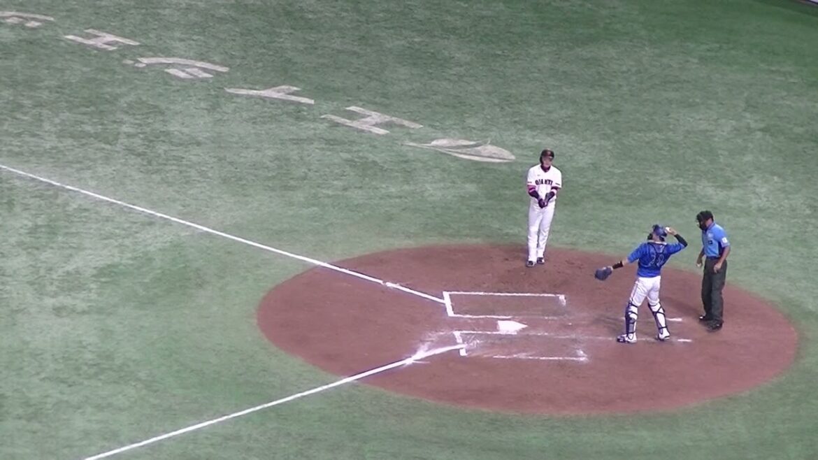 丸佳浩をセンターフライに土とる佐々木千隼【読売ジャイアンツ対 横浜DeNAベイスターズ2024年7月13日】