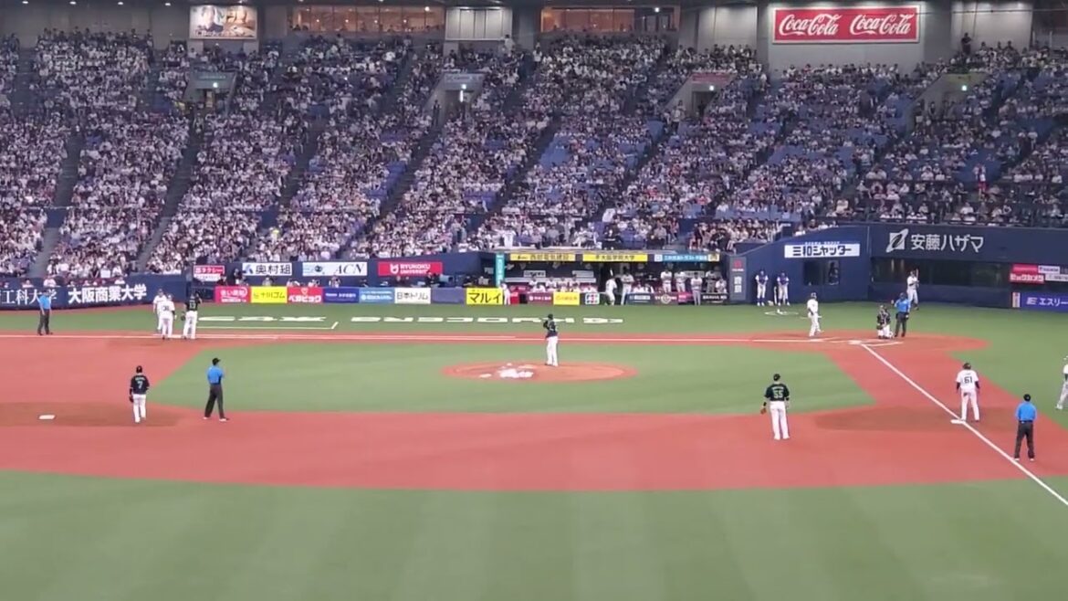 20240616　大阪桐蔭高校の吹奏楽部とｺﾗﾎﾞ♪【西川龍馬 ﾁｬﾝｽ応援歌(決然)】6回ｳﾗ　ｵﾘｯｸｽ･ﾊﾞﾌｧﾛｰｽﾞ【ﾊﾞﾌｧﾛｰｽﾞ高校】@京ｾﾗﾄﾞｰﾑ大阪･外野 日本生命ｾ･ﾊﾟ交流戦