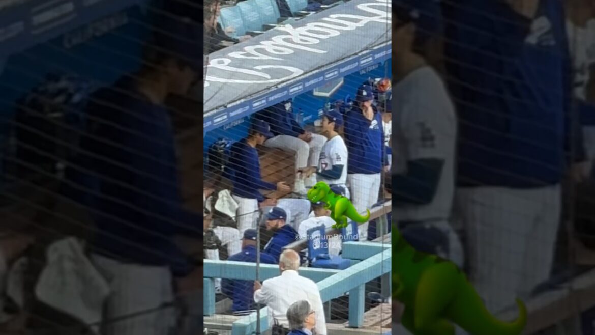 😂 Ohtani 大谷 翔平 & Yamamoto   山本 由伸 Dugout Pregame 🔥 6/13/24