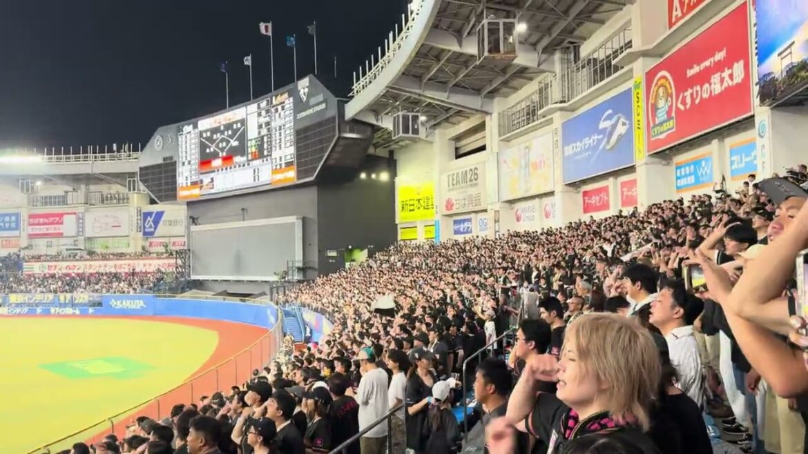 石川慎吾 応援歌 BLACK SUMMER WEEK 2024/7/30 ロッテ vs ライオンズ #chibalotte 石川慎吾 応援歌 BLACK SUMMER WEEK 2024/7/30 ロッテ vs ライオンズ #chibalotte