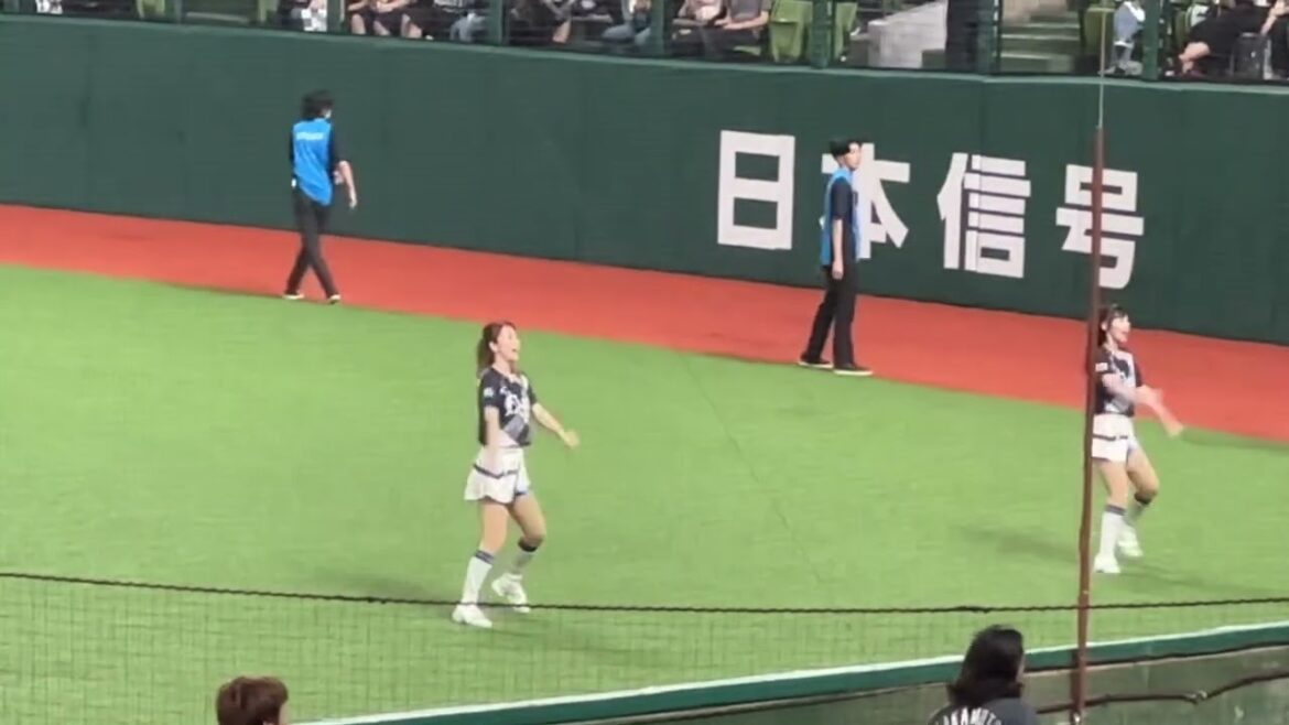 NEWYORKER コラボユニフォームで踊る『吠えろライオンズ』【西武vs ロッテ】2024/7/5