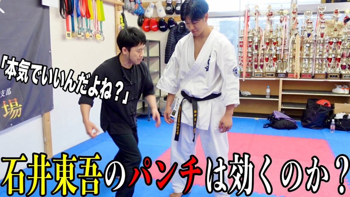 【実現】石井東吾のパンチは実際に効くのか？空手王が検証してみた